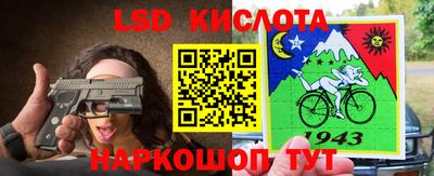 СК Гагарин