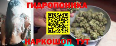 соль ск Гатчина