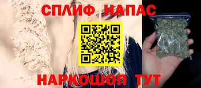 СК Гагарин