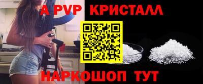 СК Гагарин