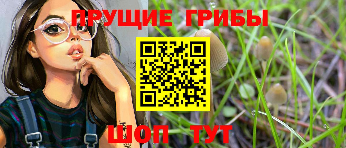 Искитим  магазин  наркотиков  Вход с VPN  Галлюциногенные грибы Psilocybe 
