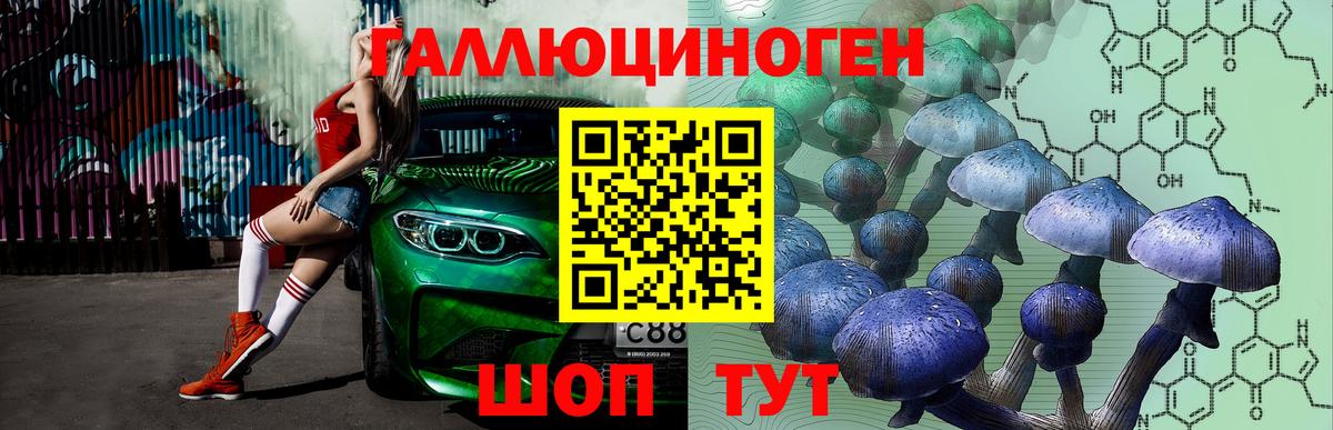 Галлюциногенные грибы Psilocybe Искитим